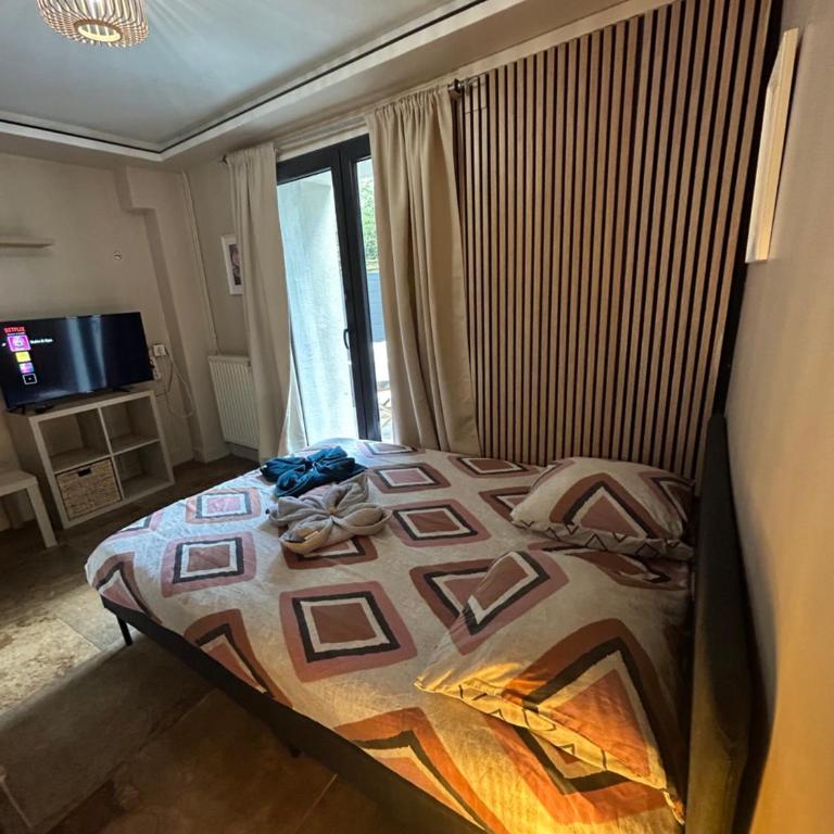 Petit studio et son spa abrité - Apartamento de 1 dormitorio - 19