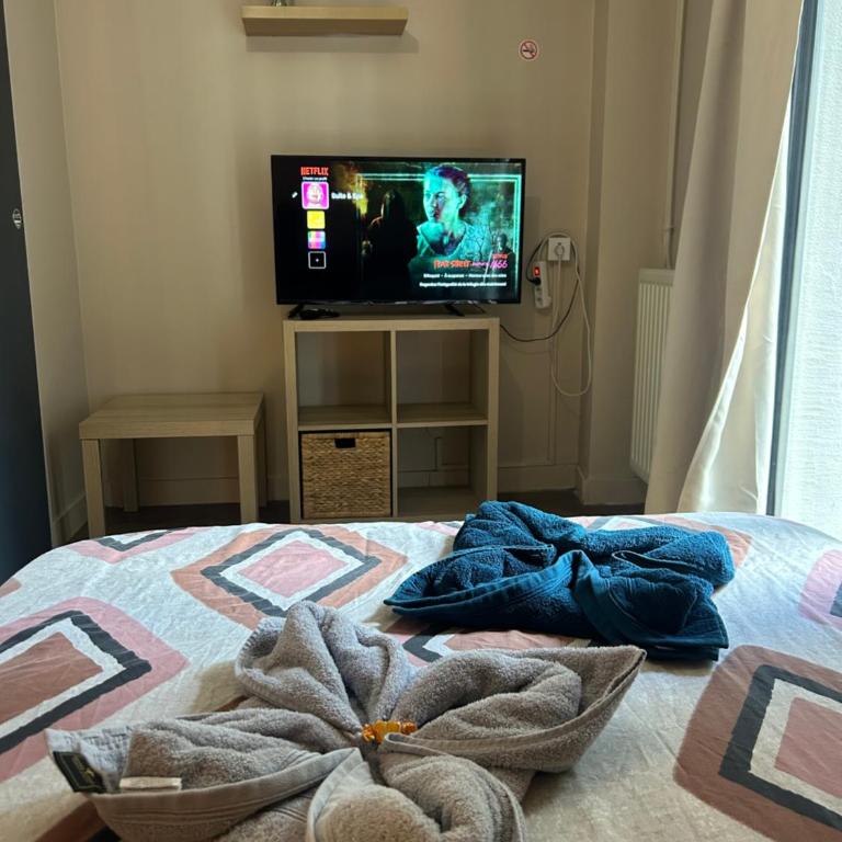 Petit studio et son spa abrité - Apartamento de 1 dormitorio - 21