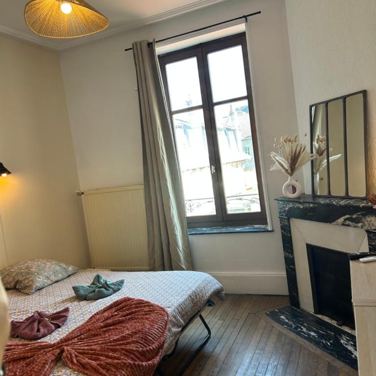 Bel appartement centre gare - Appartement 2 Chambres - 16