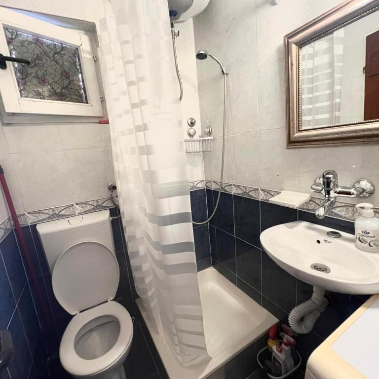 Mika Studio - Apartman sa 1 Spavaćom Sobom - 4