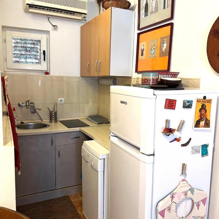 Mika Studio - Apartman sa 1 Spavaćom Sobom - 10