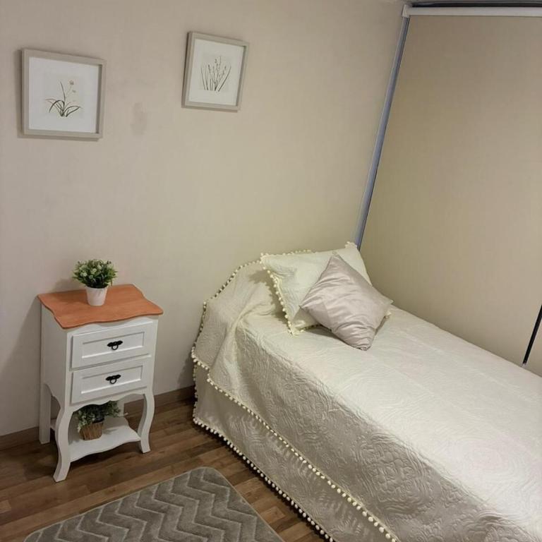 Renovated and Spacious apartment in Santiago! - Apartamento de 2 dormitorios con vistas a la ciudad - 10