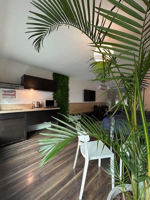 By Suites - One-Bedroom Apartment - 24