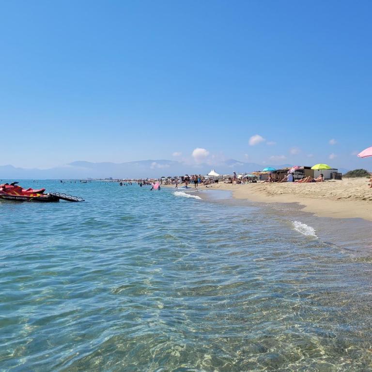 T2 en front de mer, piscine, parking - 3 pers. - FR-1-794-176 - Appartamento - 13