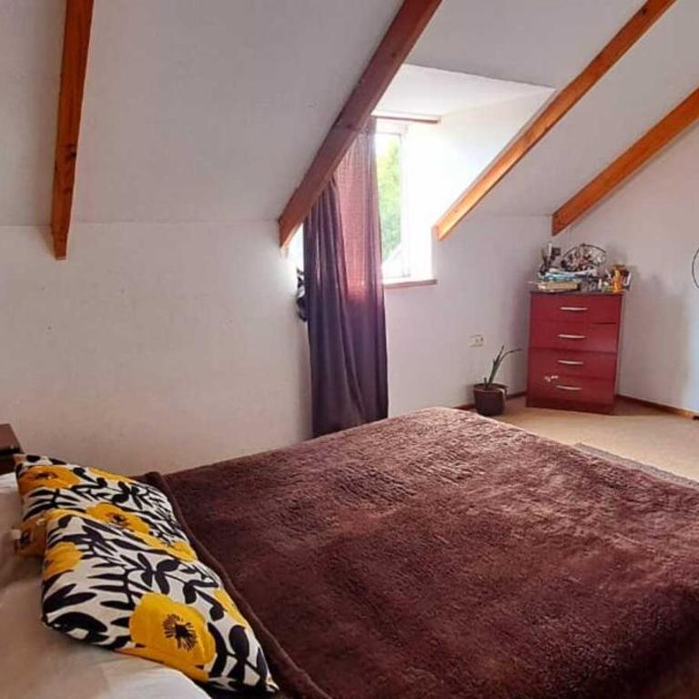 Hare Te Maori - Three-Bedroom House - 25