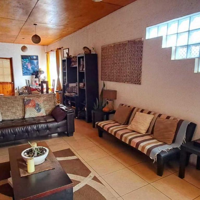 Hare Te Maori - Three-Bedroom House - 22