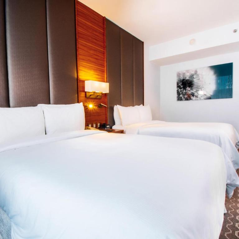 Doubletree By Hilton Mexico City Santa Fe - Habitación Doble - 2 camas dobles - 6