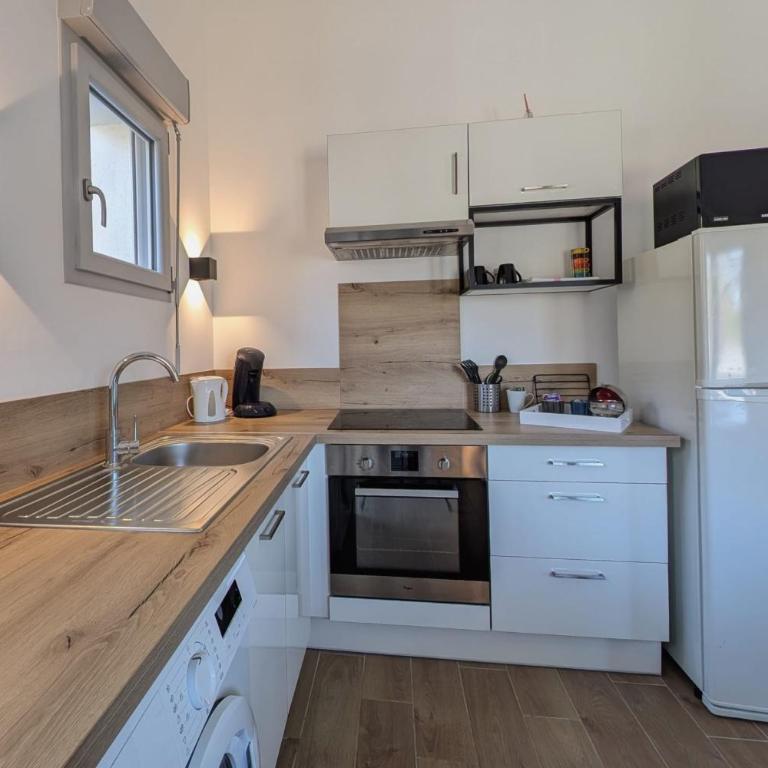 Le Lac Bleu plage privée lac de Paladru - Appartement - 5