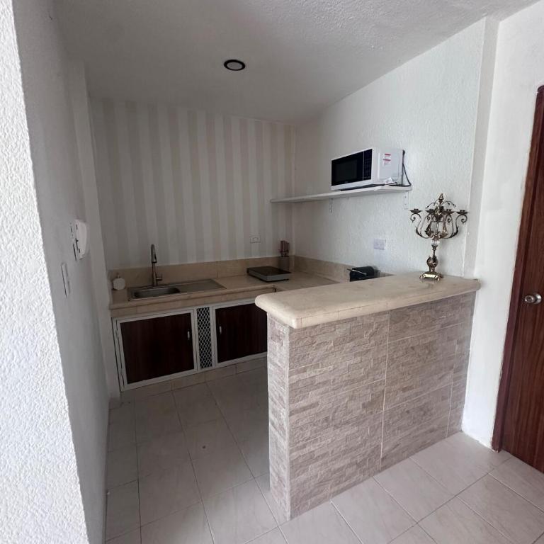 Downtown apartment on Avenida Prolongación Montejo - One-Bedroom Apartment - 2