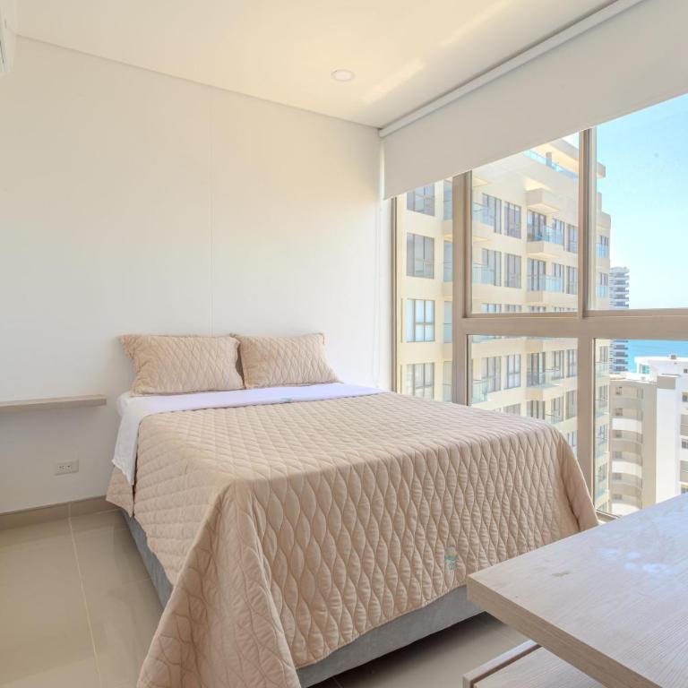 Apto1235 playa gaira - Apartamento - 31