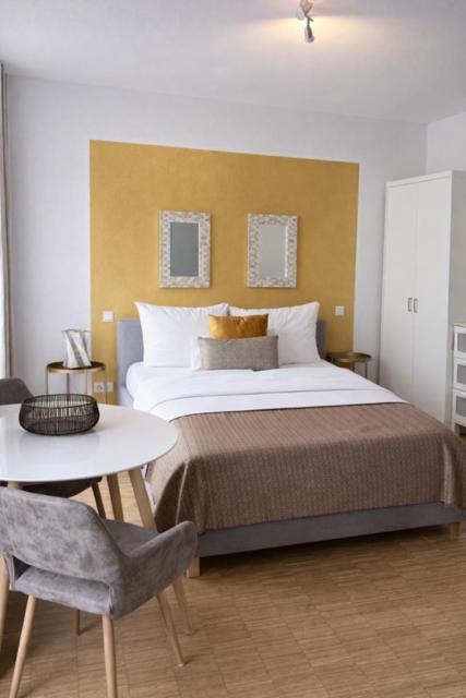 SuSi Agricola Apartments - Standard Studio - 4
