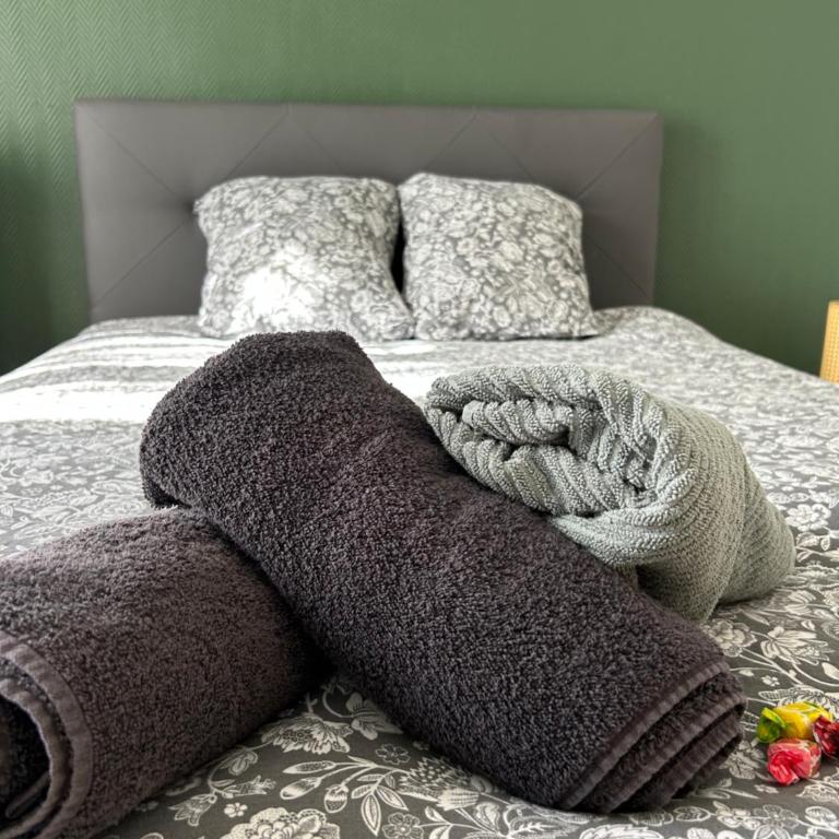 Le Blandan Chic proche thermal - Apartment mit 1 Schlafzimmer - 24