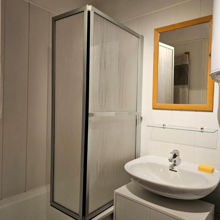 Logement Chaleureux pied de piste - Apartment mit 2 Schlafzimmern - 5