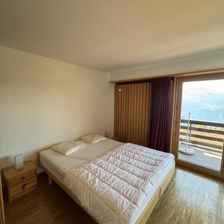 Orion 209 au centre a Anzere avec vue sur les Alpes - Apartment - 16