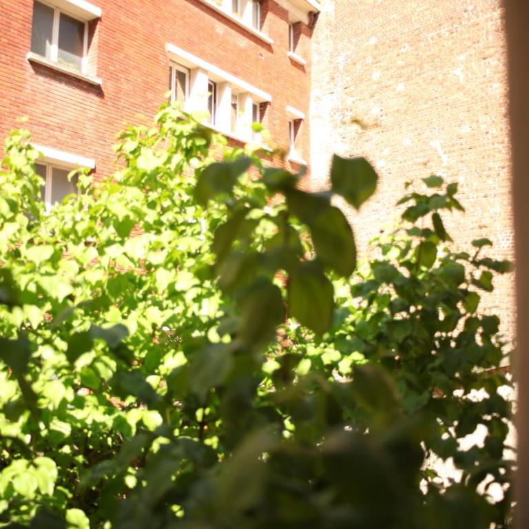 Bohemian & Historic Paris Pantheon Mosquee - Apartamento de 1 dormitorio - 6