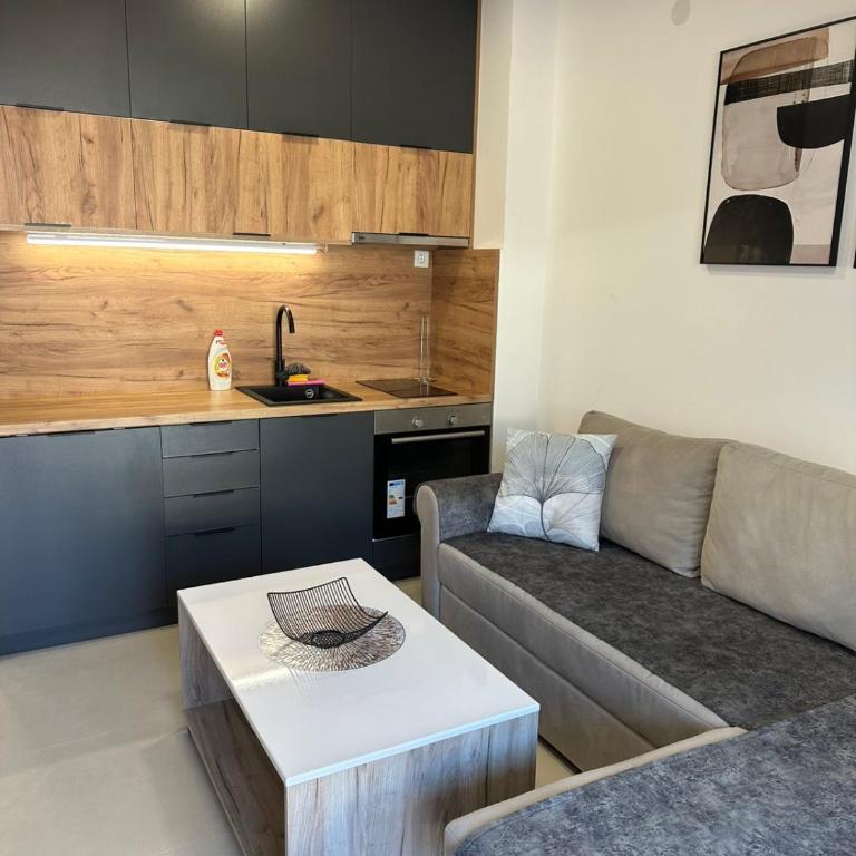 Apartman BYANKA - One-Bedroom Apartment - 2