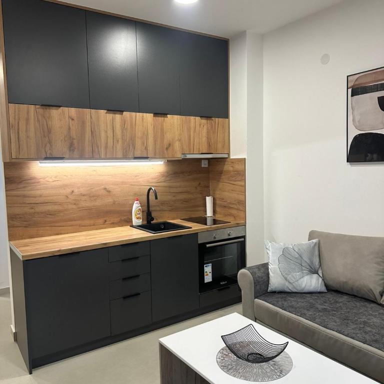 Apartman BYANKA - One-Bedroom Apartment - 4