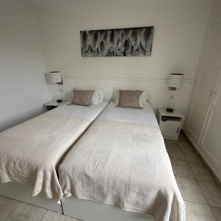 Casa de Guacimeta - One-Bedroom Apartment - 14