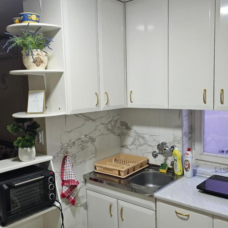 Apartmani Cvetković - Apartman sa 1 Spavaćom Sobom - 3