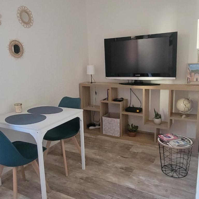 Joli appartement plein centre - Appartement 1 Chambre - 7