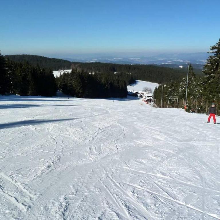 Spa Apartment im Bayerischen Wald - Appartamento con 1 Camera da Letto - 21