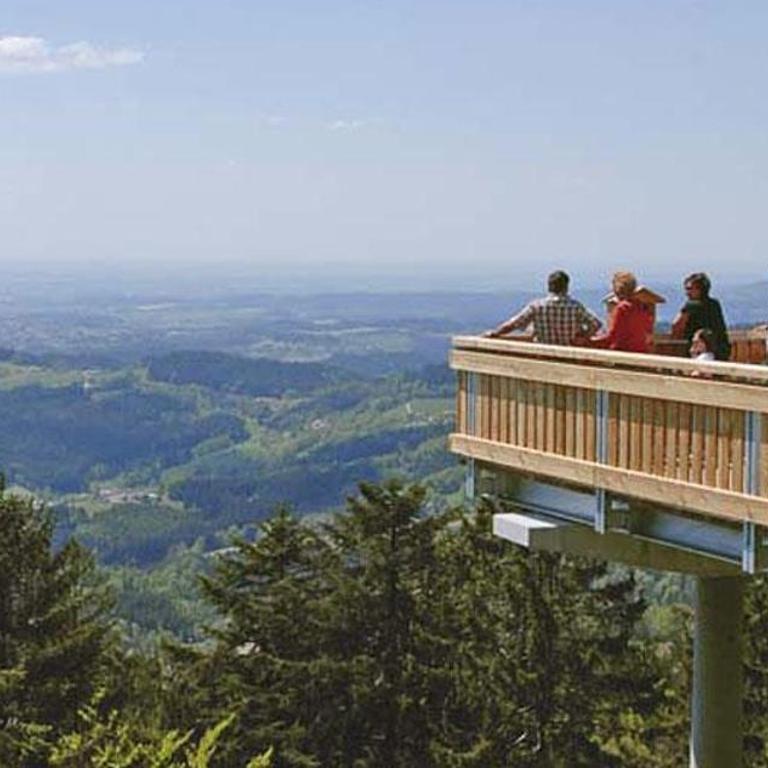 Spa Apartment im Bayerischen Wald - Appartamento con 1 Camera da Letto - 29