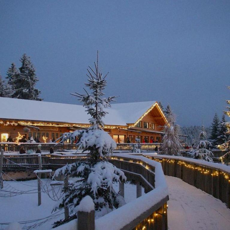 Spa Apartment im Bayerischen Wald - Appartamento con 1 Camera da Letto - 24