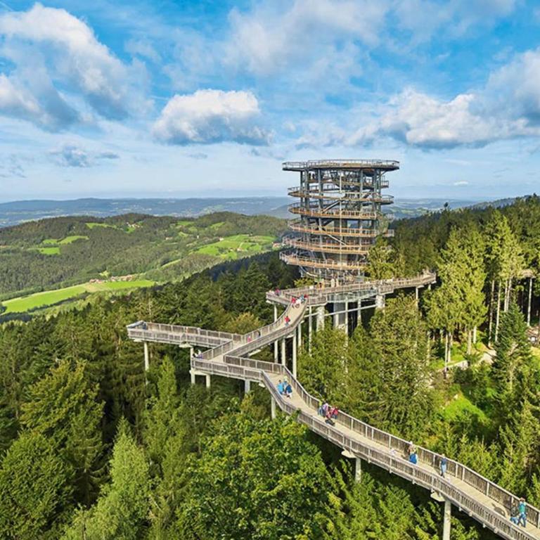 Spa Apartment im Bayerischen Wald - Appartamento con 1 Camera da Letto - 36