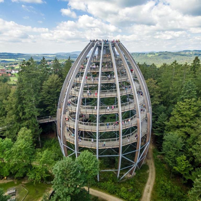 Spa Apartment im Bayerischen Wald - Appartamento con 1 Camera da Letto - 37