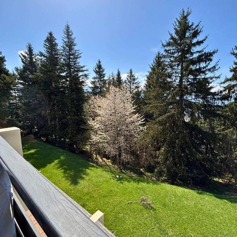 Grand studio lumineux de 39 m² avec terrasse exposé sud - Studio avec Balcon - 2