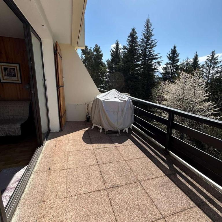 Grand studio lumineux de 39 m² avec terrasse exposé sud - Studio avec Balcon - 7