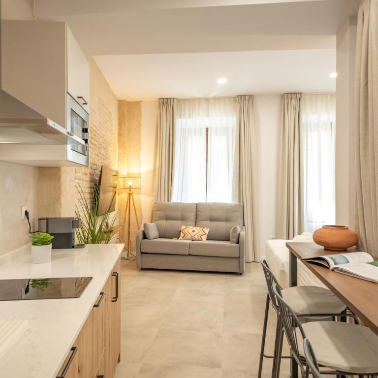 Triana Acacias by Valcambre - Apartamento de 1 dormitorio - 28