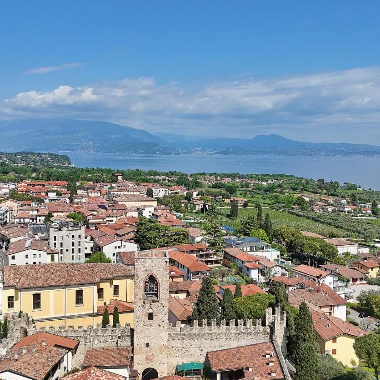 Olive Garden Garda - pool & view - Appartamento - 29