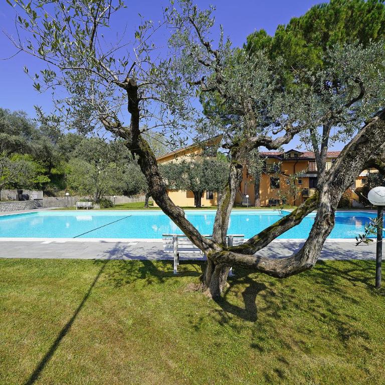 Olive Garden Garda - pool & view - Appartamento - 3