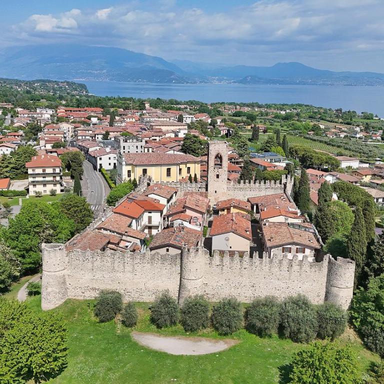 Olive Garden Garda - pool & view - Appartamento - 33