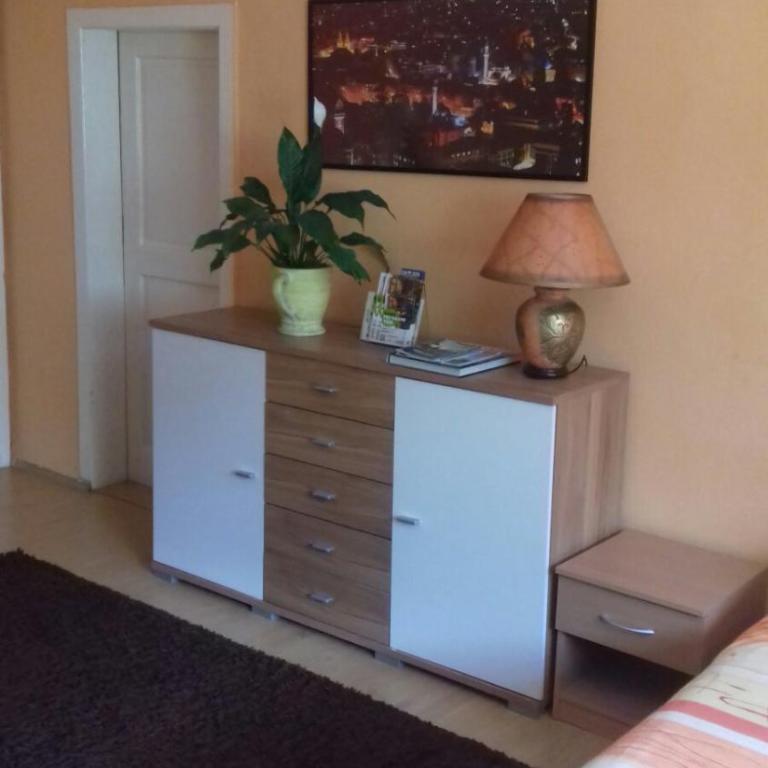 Modern&Cozy Bosnian house with GARDEN+FREE parking - Porodični Apartman Tipa "Suite" - 33