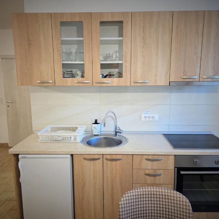 Markov Konak - Apartman sa 1 Spavaćom Sobom - 41