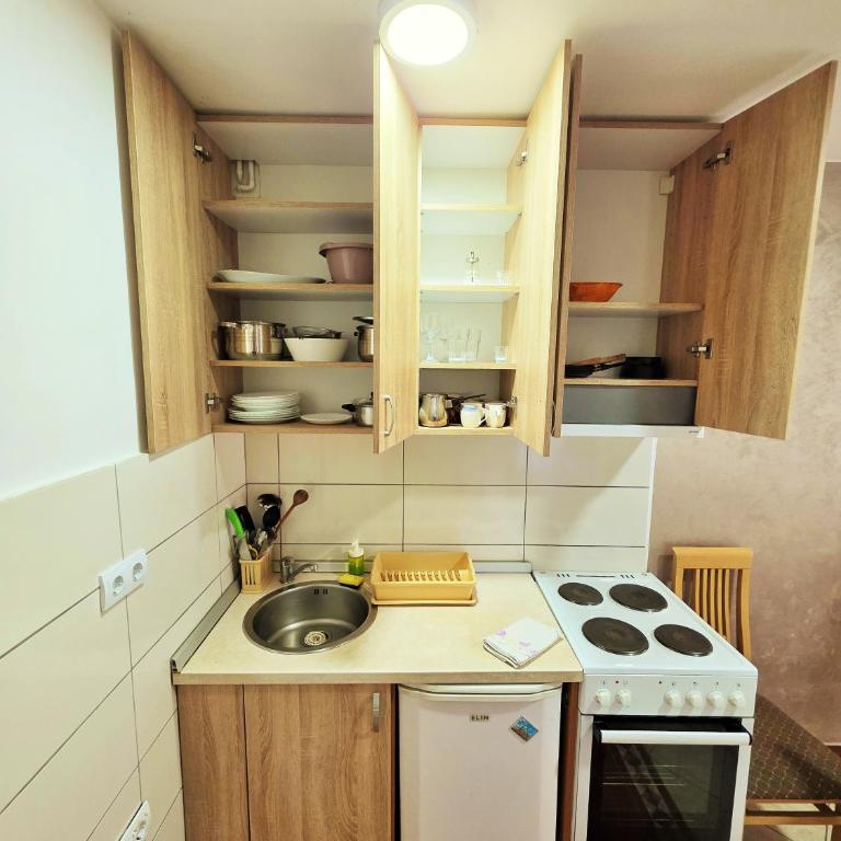 Markov Konak - Apartman sa 1 Spavaćom Sobom - 54