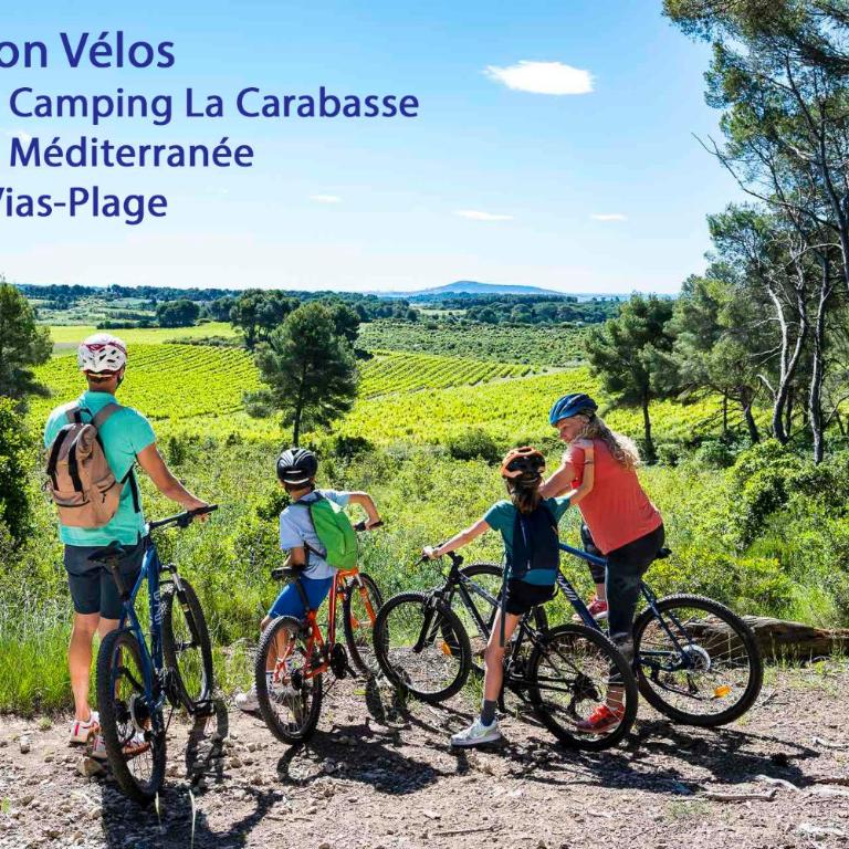 Aurora, magnifique, classé 3 étoiles, 6 personnes, accès direct plage, parking privé, vue mer à travers la pinède - Appartement 2 Chambres - 60