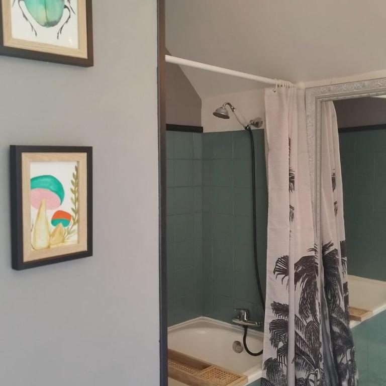 charmant appartement hyper-centre - Apartment mit 1 Schlafzimmer - 8