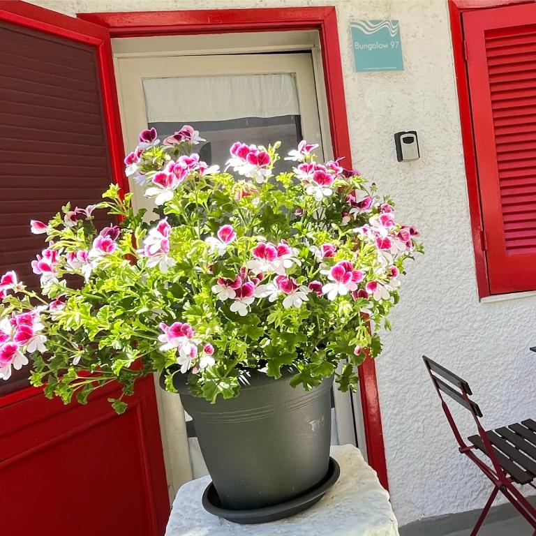 Bungalow 97 - Bungalow Deluxe con Vista Giardino - 52