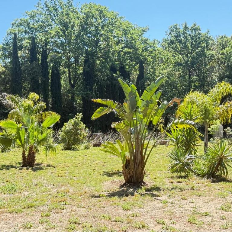 La Largarde - Chambre Double - Vue sur Jardin - 15