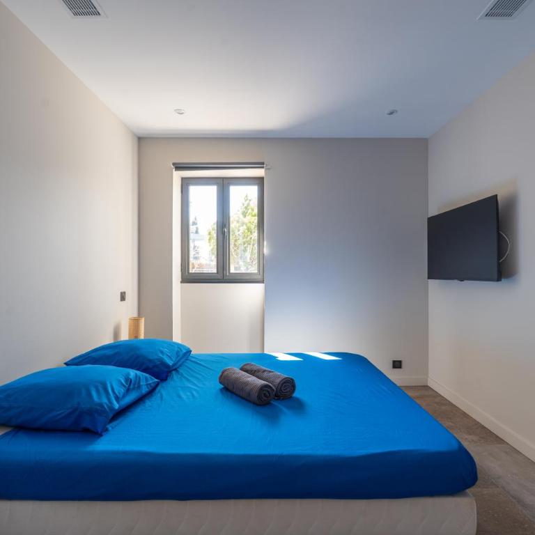 L'Appartement Olivier - Apartamento de 2 dormitorios - 24