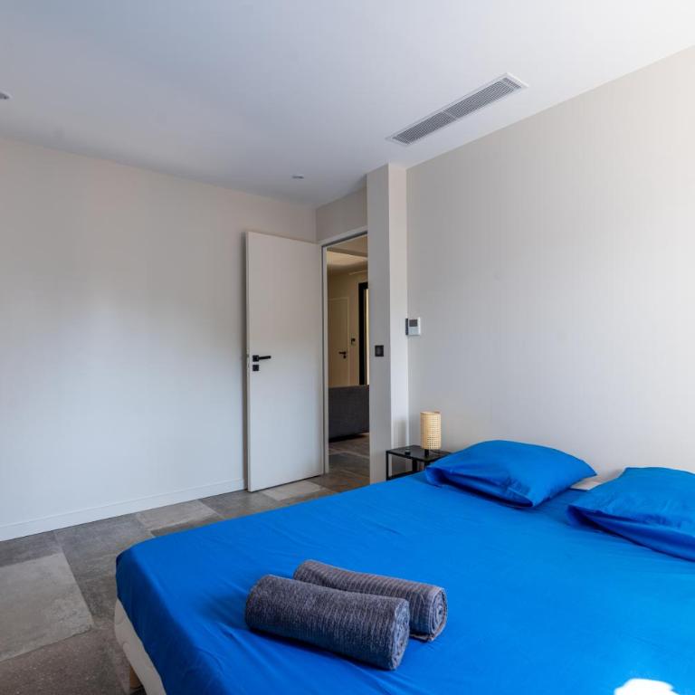 L'Appartement Olivier - Apartamento de 2 dormitorios - 21