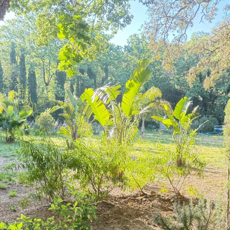 La Largarde - Chambre Double - Vue sur Jardin - 11
