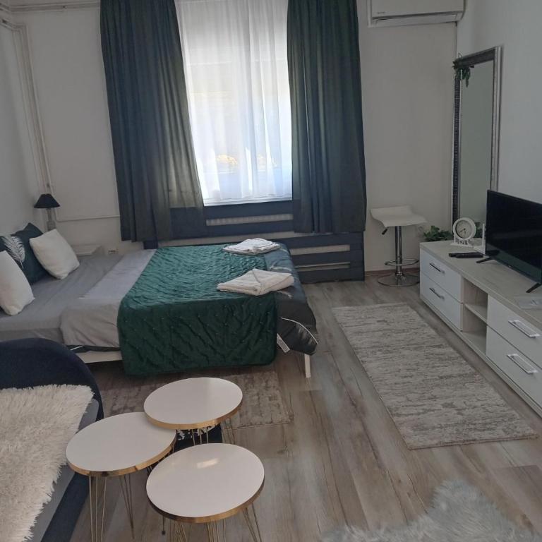 Apartmani Nana - Apartman sa 1 Spavaćom Sobom - 10
