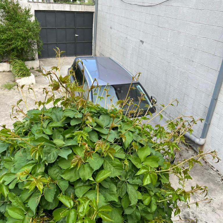 Filip house apartments - One-Bedroom Apartment with Terrace - 6