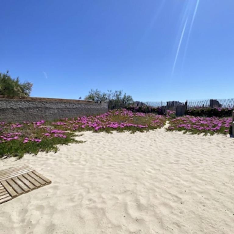 villa dune et azur - Maison de Vacances - 1
