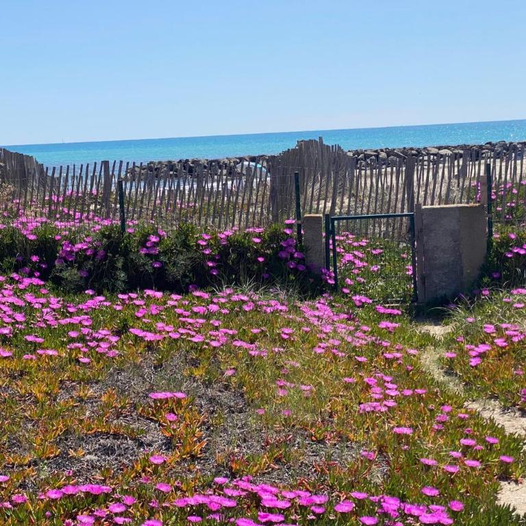 villa dune et azur - Maison de Vacances - 12
