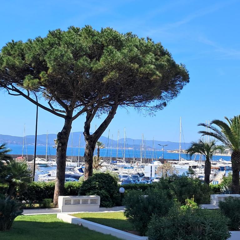 Azur et Mer - Appartement - Vue sur Mer - 1